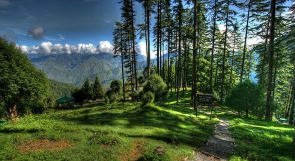 Dhanaulti